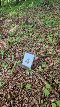 13 Slowakei 2025.jpg