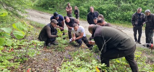 10 Slowakei 2025.jpg