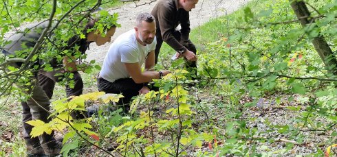 14 Slowakei 2025.jpg