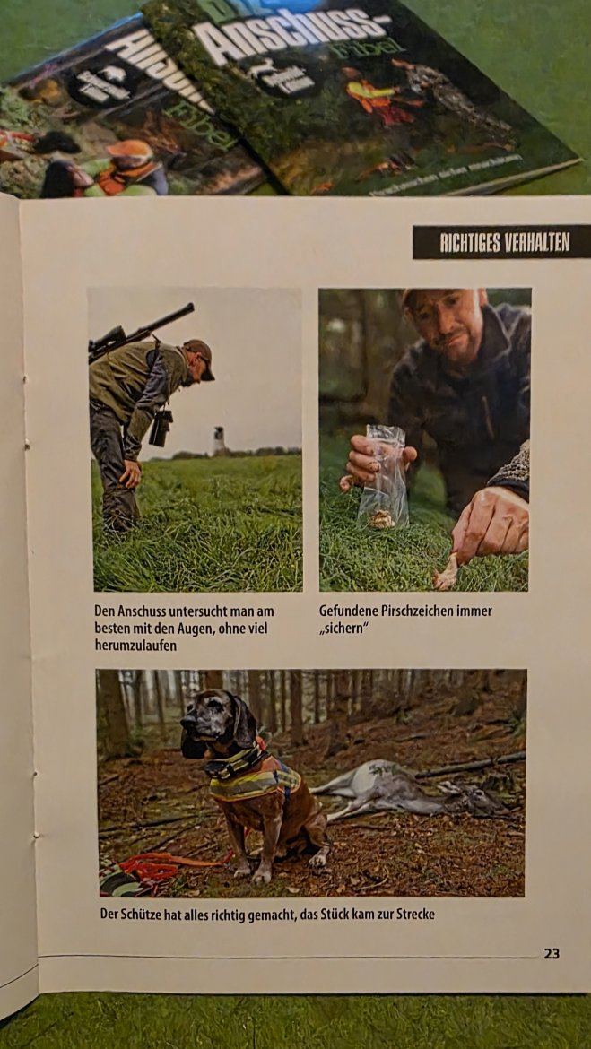 2 Nachsuchen 1x1.jpg